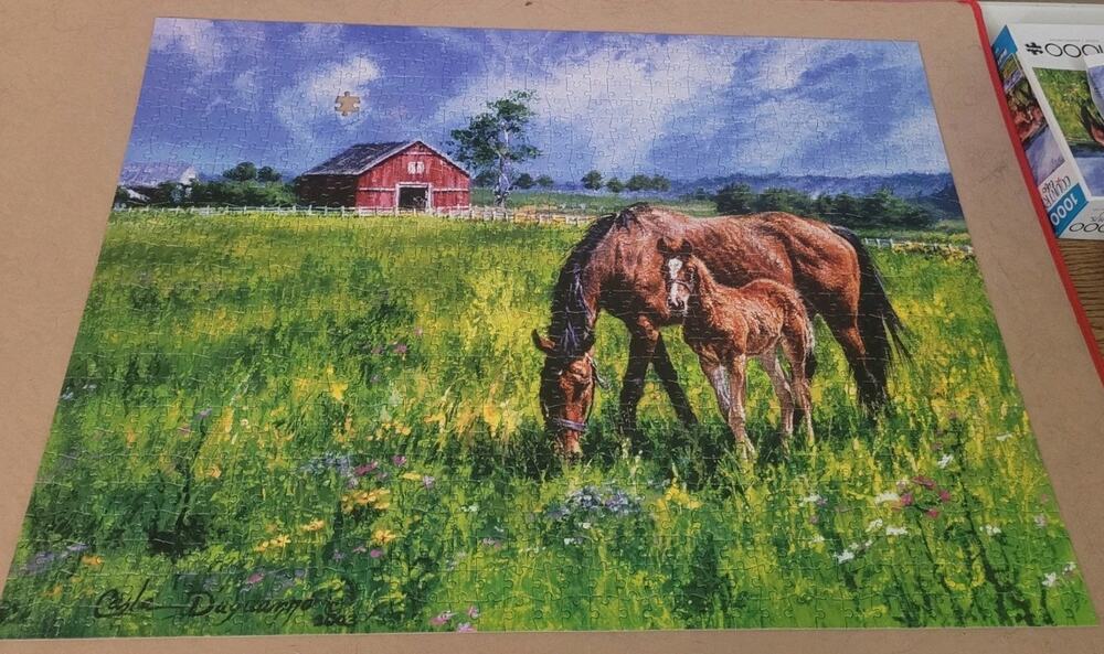Buffalo Games 1000 Pc Jigsaw Puzzle Near and Dear By Carla D’aguanno